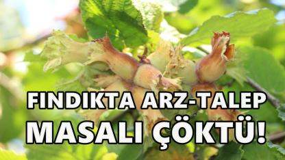 “Fındıkta Arz–Talep Masalı Çöktü: Fiyatları Tekeller Belirliyor”