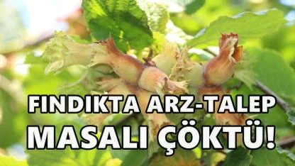 “Fındıkta Arz–Talep Masalı Çöktü: Fiyatları Tekeller Belirliyor”