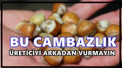 Fındıkta Gerilim Tırmandı: Karan, Bayraktar’a Yüklendi