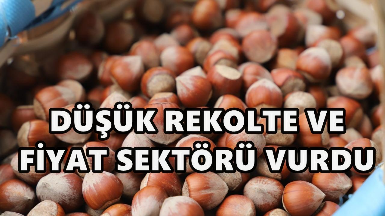 Fındıkta kriz büyüyor: FATBO TMO’yu acil müdahaleye çağırdı