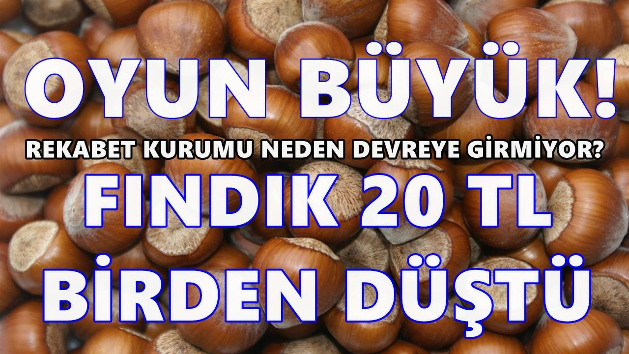 Fındıkta Oyun Büyük: Fiyatlar 20 TL Birden Düştü