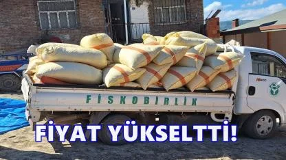 Fiskobirlik Fındık Fiyatını Güncelledi
