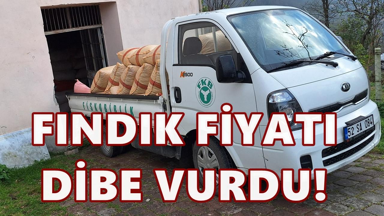 Fiskobirlik Fiyatları Dibe Çekti: Bir Haftada 30 TL İndirdi