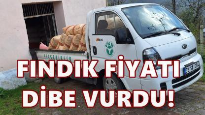 Fiskobirlik Fiyatları Dibe Çekti: Bir Haftada 30 TL İndirdi