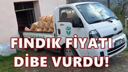 Fiskobirlik Fiyatları Dibe Çekti: Bir Haftada 30 TL İndirdi