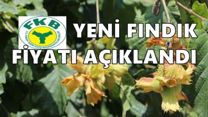 FİSKOBİRLİK Yılın Son Haftasında Fındık Alım Fiyatlarına Zam Yaptı