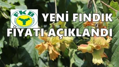 FİSKOBİRLİK Yılın Son Haftasında Fındık Alım Fiyatlarına Zam Yaptı