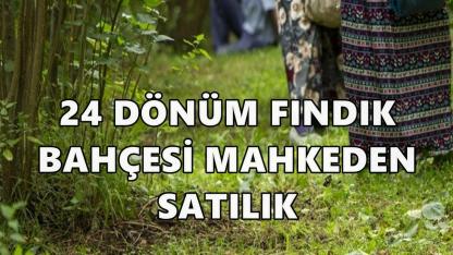 Giresun’da 24,5 Dönümlük Fındık Bahçesi İcradan Satışa Çıkıyor