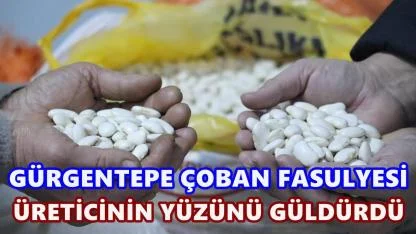 Gürgentepe Çoban Fasulyesi 300 TL’den Alındı