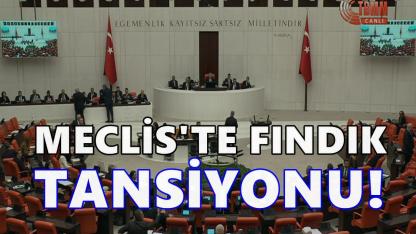 Meclis'te Fındık Tansiyonu: Adıgüzel ile Bayraktar Arasında Sert Tartışma