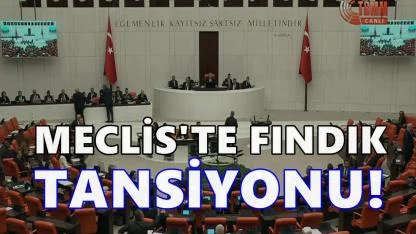 Meclis'te Fındık Tansiyonu: Adıgüzel ile Bayraktar Arasında Sert Tartışma