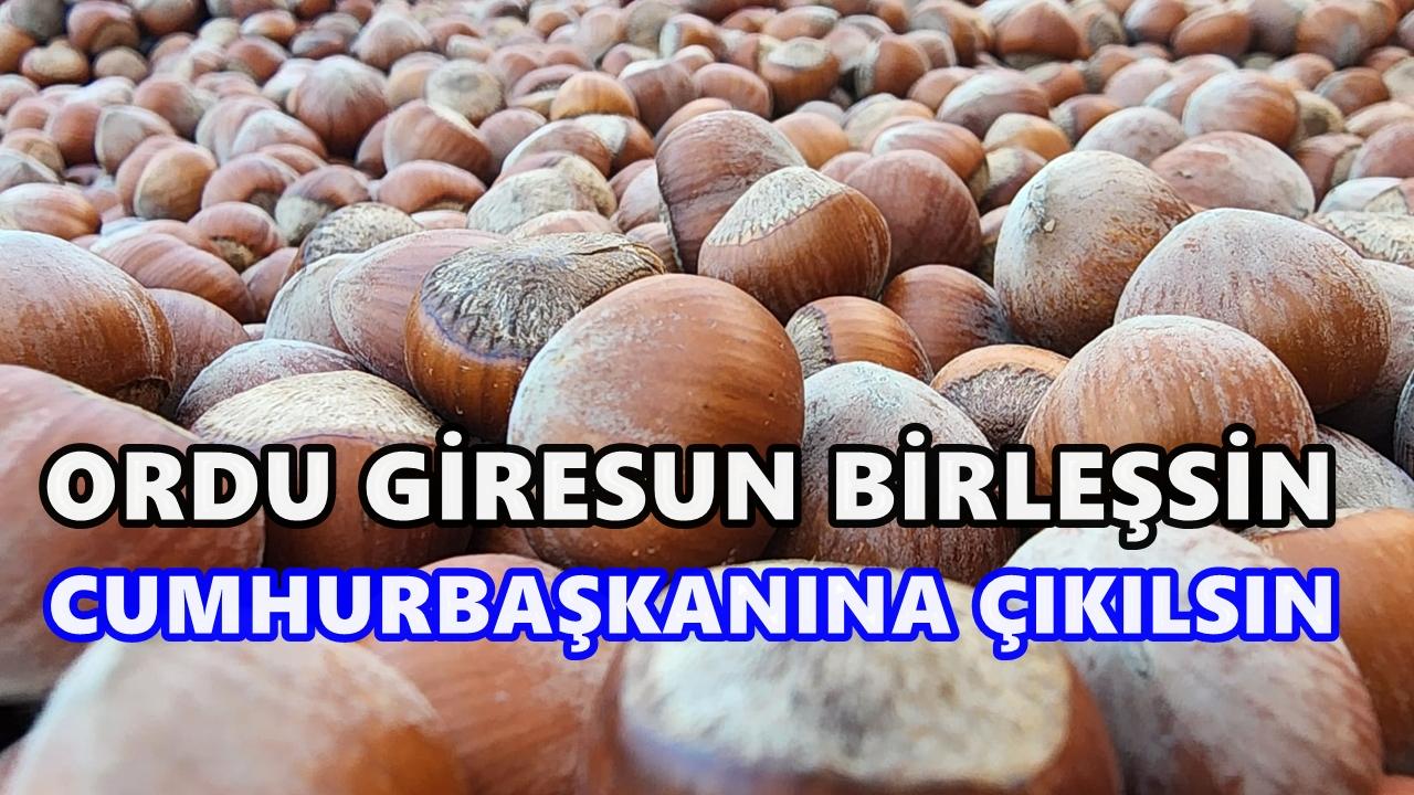 Ordu–Giresun Fındıkta Birleşsin, Cumhurbaşkanına Birlikte Çıkılsın”