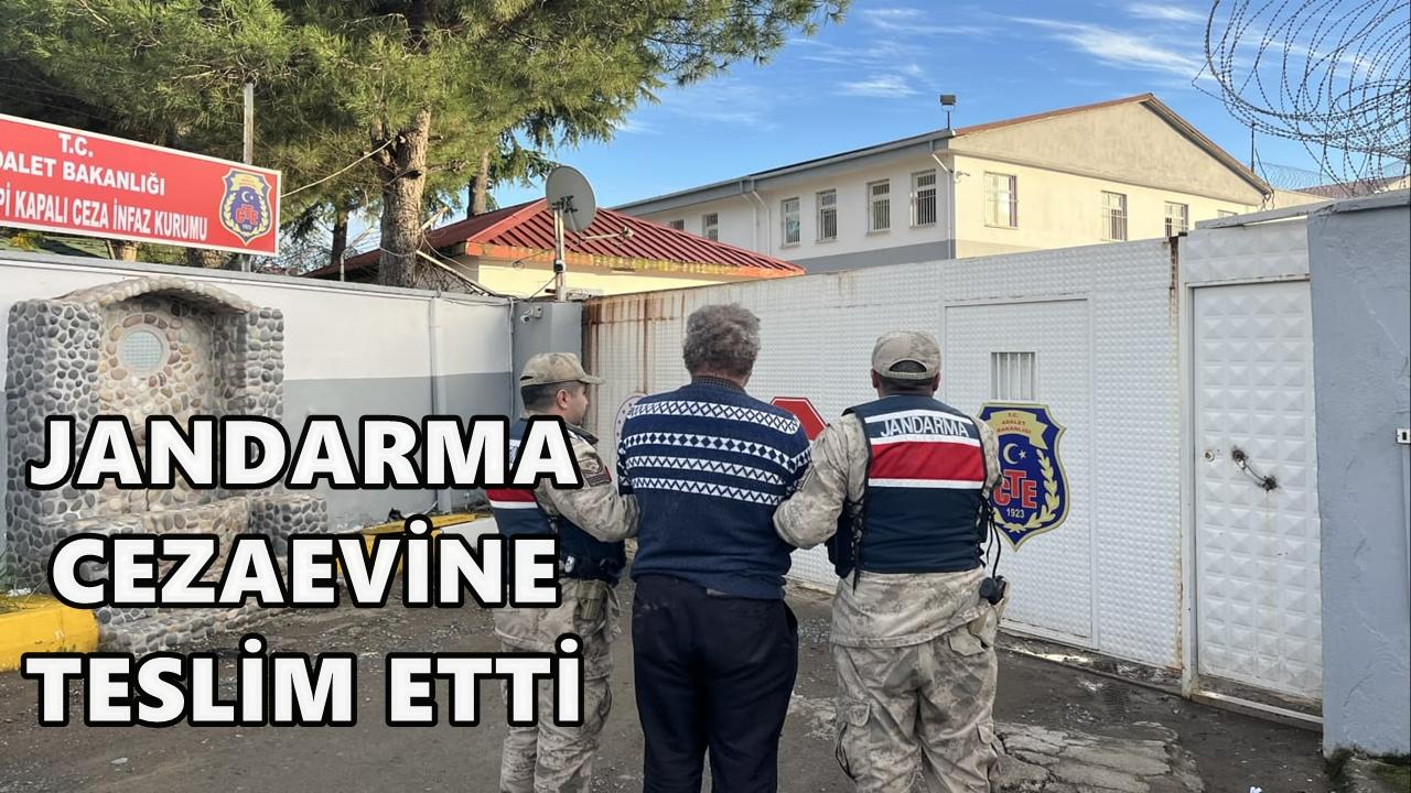 Ordu Jandarması Bir Haftada 53 Aranan Şahsı Yakaladı