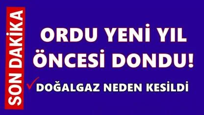 Ordu Yeni Yıla Üşüyerek Giriyor: Doğalgaz Kesildi