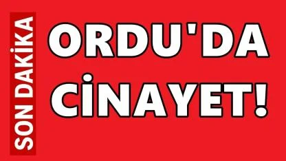 Ordu'da Cinayet: Tartışma Kanlı Bitti