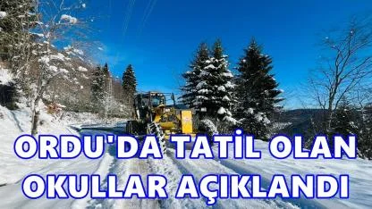 Ordu’da Eğitime Kar Tatili: İşte Tatil Olan Okullar