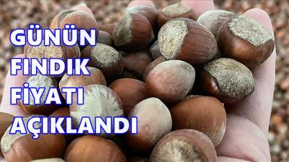 Ordu’da Günün Fındık Fiyatı Açıklandı