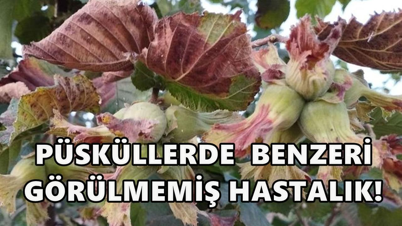 Özcan Şahin’den kritik uyarı: “Püskülde benzeri görülmemiş hastalık tespit edildi”