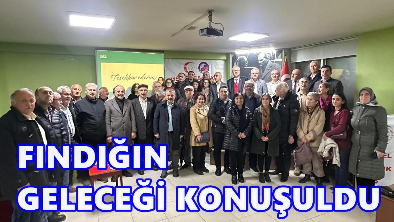 Uzmanlar Uyardı: “Fındık Üretimi Kokarca Nedeniyle Risk Altında”