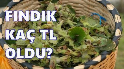 Yeni Yıl Öncesi Fındık Piyasasında Bekleyiş Sürüyor