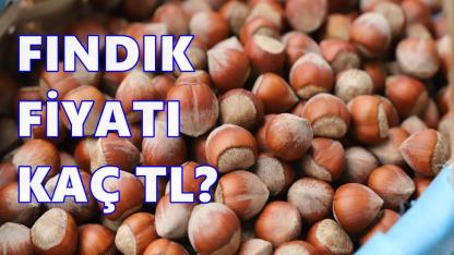 Yeni Yıl Öncesi Fındık Piyasasında Belirsizlik Sürüyor