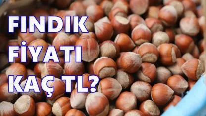 Yeni Yıl Öncesi Fındık Piyasasında Belirsizlik Sürüyor