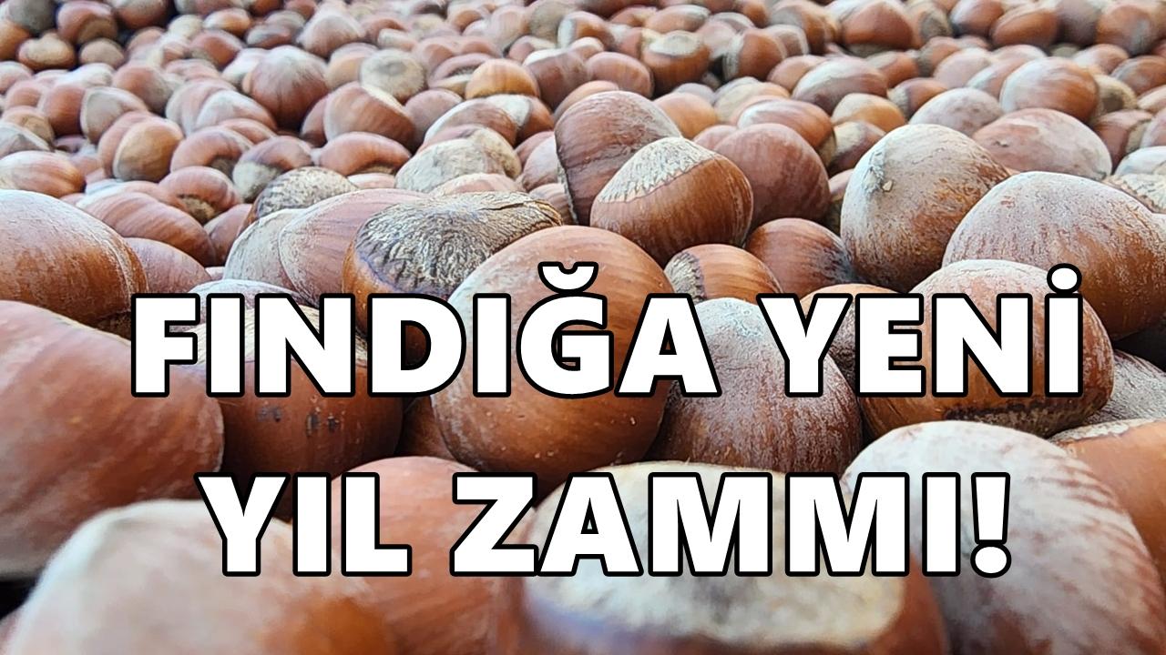 Fındık Piyasasında Sürpriz Hamle; Fındık Fiyatı 300 TL'yi Gördü