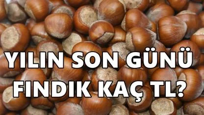Yılın Son Günü Fındık Fiyatı Kaç TL Oldu?