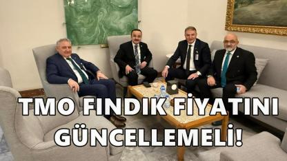 Zirai Don Fındık Üretimini Vurdu: “TMO Fiyatı Güncellenmeli”