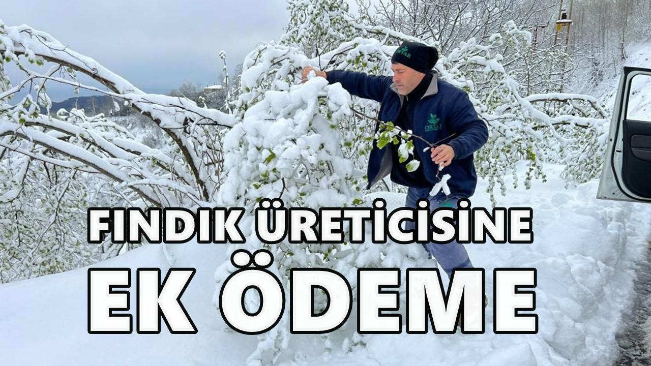 Zirai Don Mağduru Üreticilere 48,5 Milyon TL Ek Destek