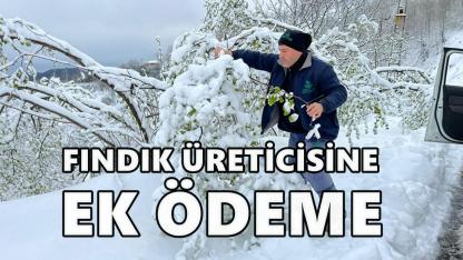 Zirai Don Mağduru Üreticilere 48,5 Milyon TL Ek Destek