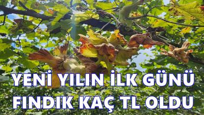 2026’nın İlk Gününde Fındık Fiyatı Ne Kadar Oldu?