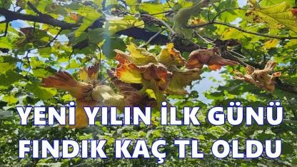 2026’nın İlk Gününde Fındık Fiyatı Ne Kadar Oldu?