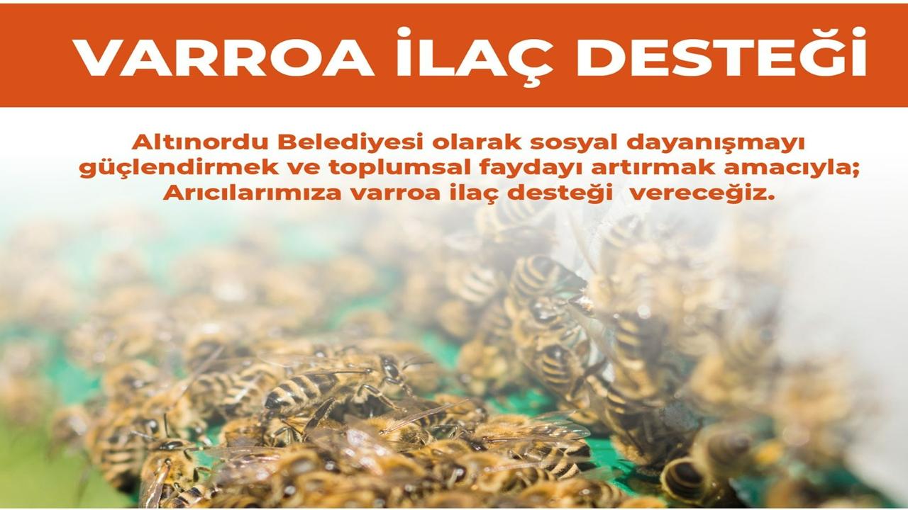 Altınordu Belediyesi’nden Arıcılara Varroa İlacı Desteği