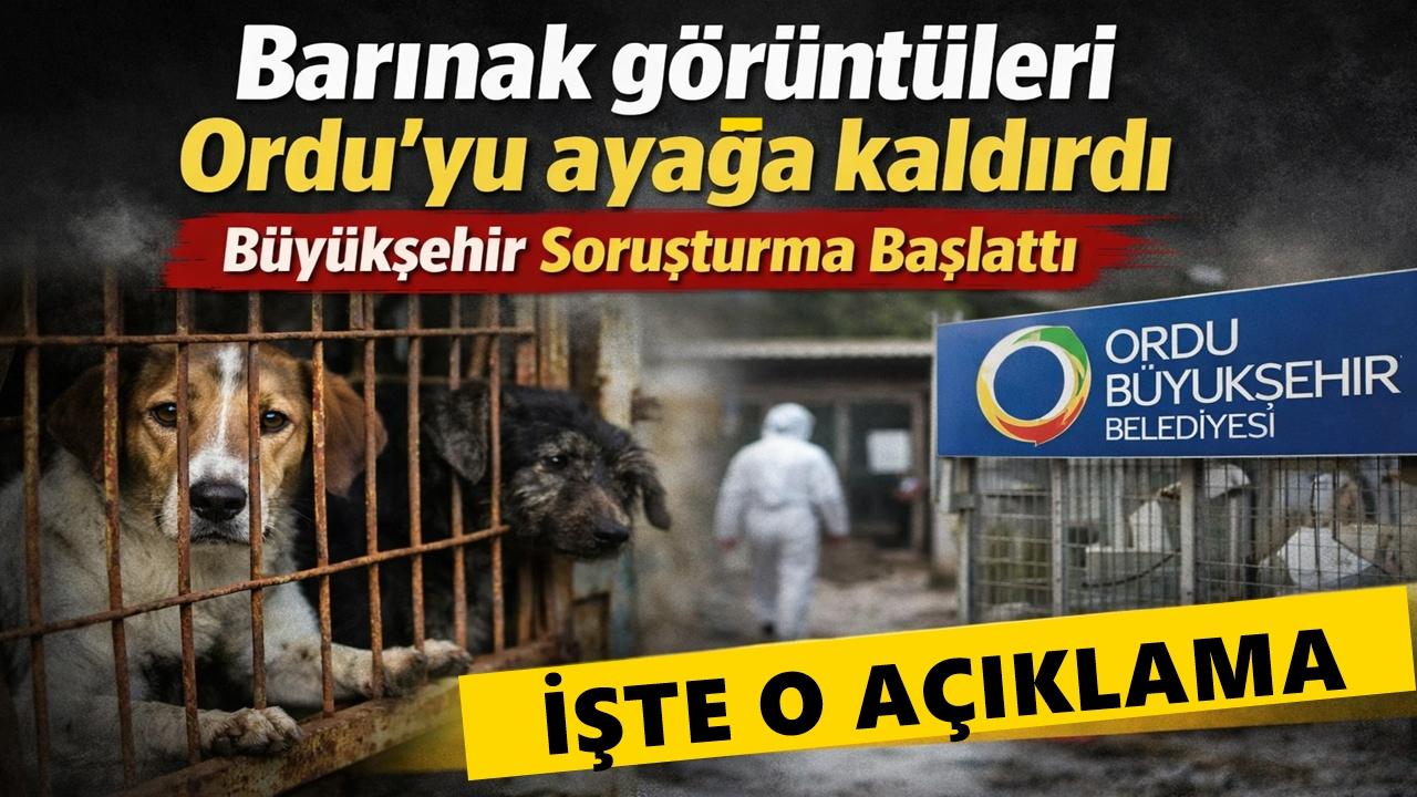 Barınak görüntüleri Ordu’yu ayağa kaldırdı ,Büyükşehir Soruşturma Başlattı