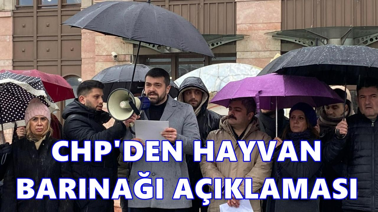 CHP Ordu Gençlik Kolları İl Başkanı Kır’dan hayvan barınağı açıklaması
