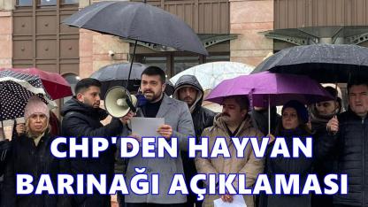 CHP Ordu Gençlik Kolları İl Başkanı Kır’dan hayvan barınağı açıklaması