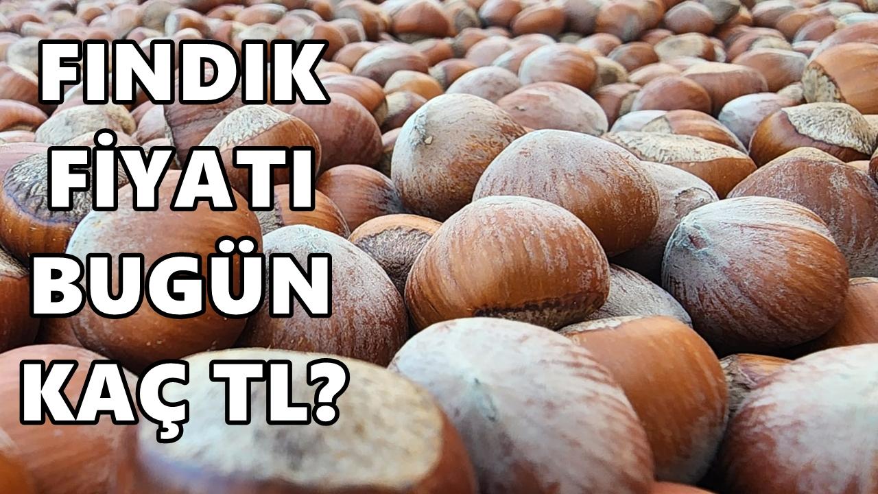 Fındık Fiyatı 13 Ocak 2026 Salı