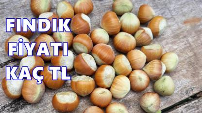 Fındık Fiyatı 19 Ocak 2026 Pazartesi