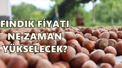 Fındık Fiyatı 2 Ocak 2025 Cuma