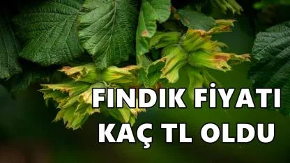 Fındık Fiyatı 21 Ocak 2025 Çarşamba