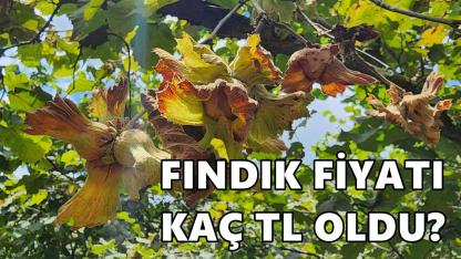 Fındık Fiyatı 22 Ocak 2026 Perşembe