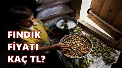 Fındık Fiyatı 23 Ocak 2026 Cuma