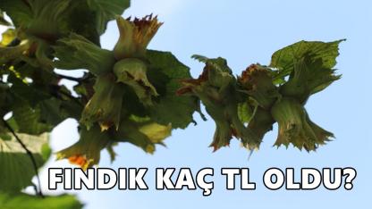 Fındık Fiyatı 3 Ocak 2026 Cumartesi