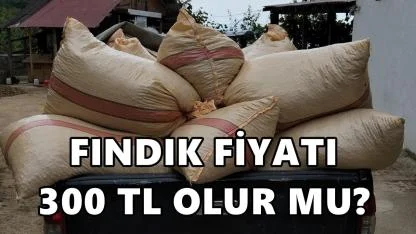 Fındık Fiyatı 300 TL ne zaman Olur?