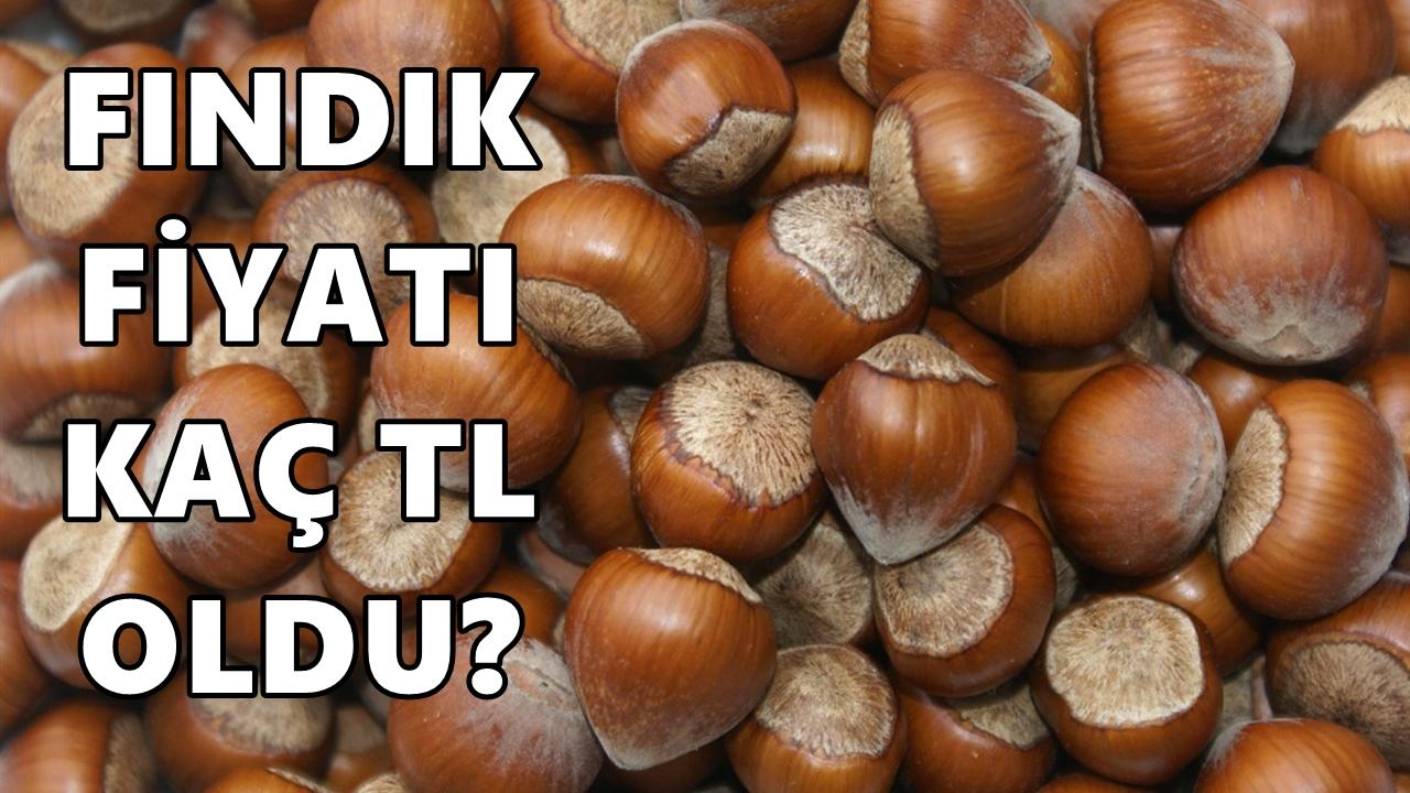 Fındık Fiyatı 31 Ocak 2026 Cumartesi