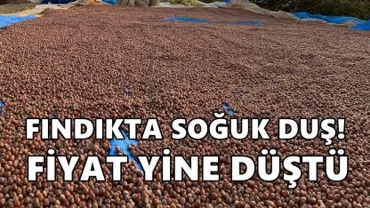 Fındık Fiyatı Çakıldı; Yeni Yıl Masalı Bitti
