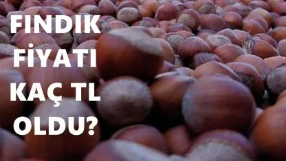 Fındık Fiyatı Kaç TL Oldu? 12 Ocak 2026