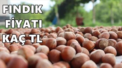Fındık Fiyatı Kaç TL Oldu; 26 Ocak 2026 Pazartesi