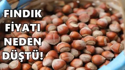 Fındık Fiyatı Neden Düştü? 20 Ocak 2026 Salı Fındık Fiyatı